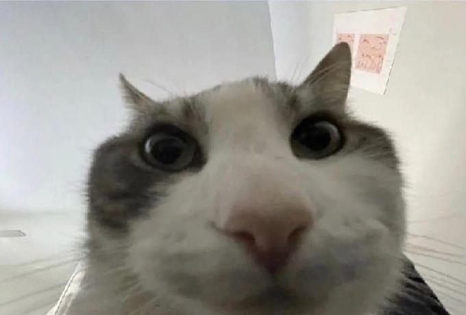Interested_User